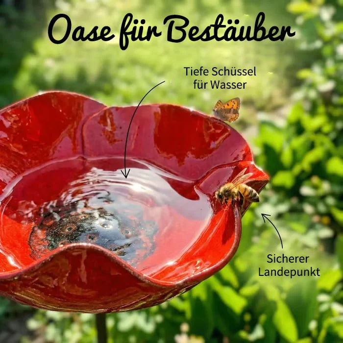 Vorschaubild 5