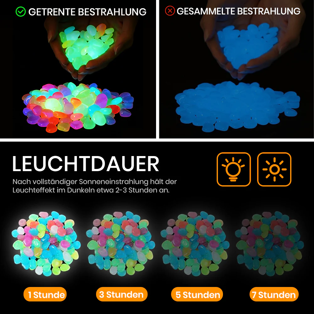 Vorschaubild 6
