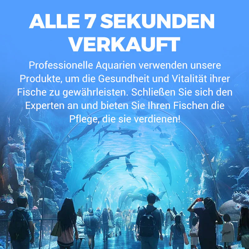 Vorschaubild 8