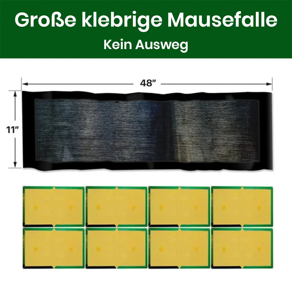 Vorschaubild 5