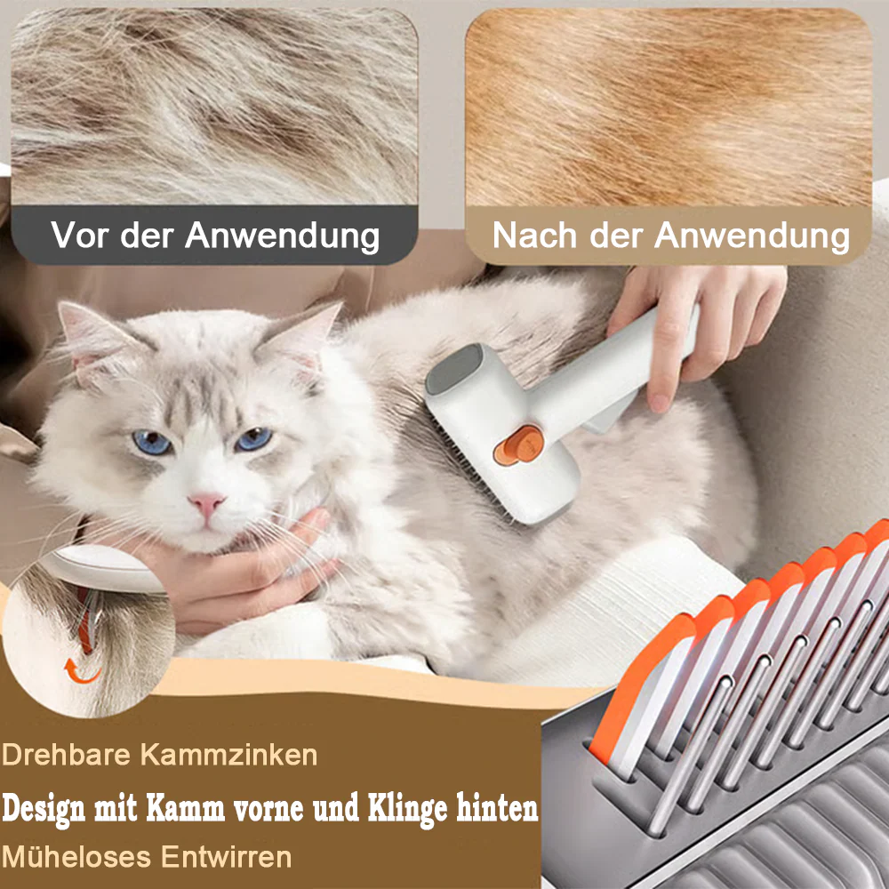 Vorschaubild 5