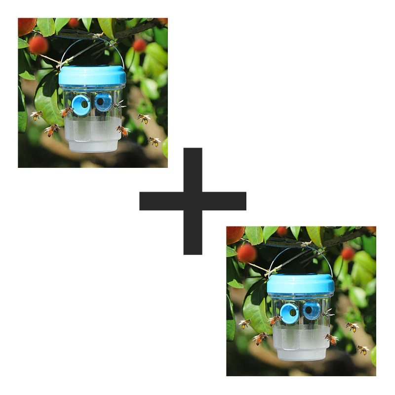 Vorschaubild 13